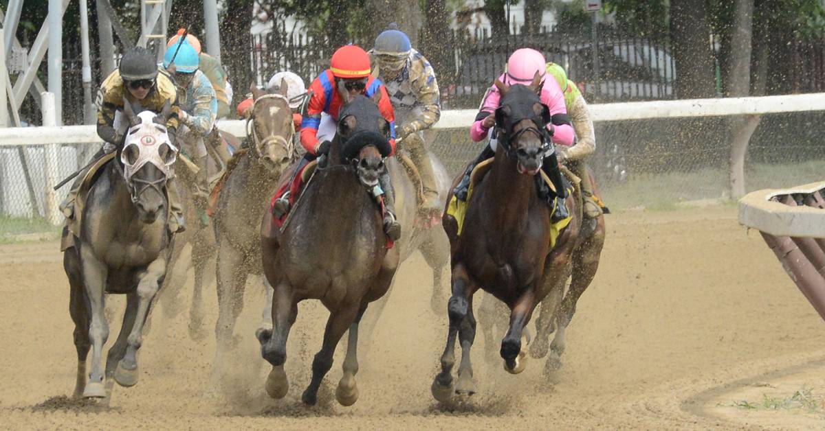 horses racing on a dirt track