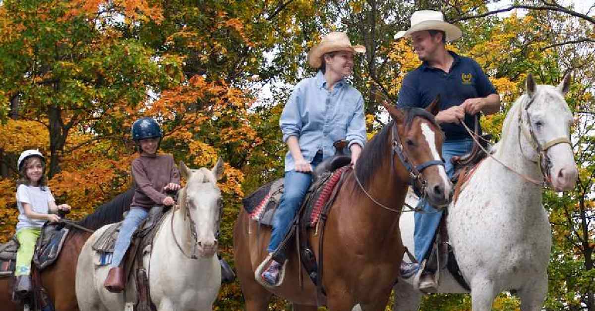 four horses with people on them