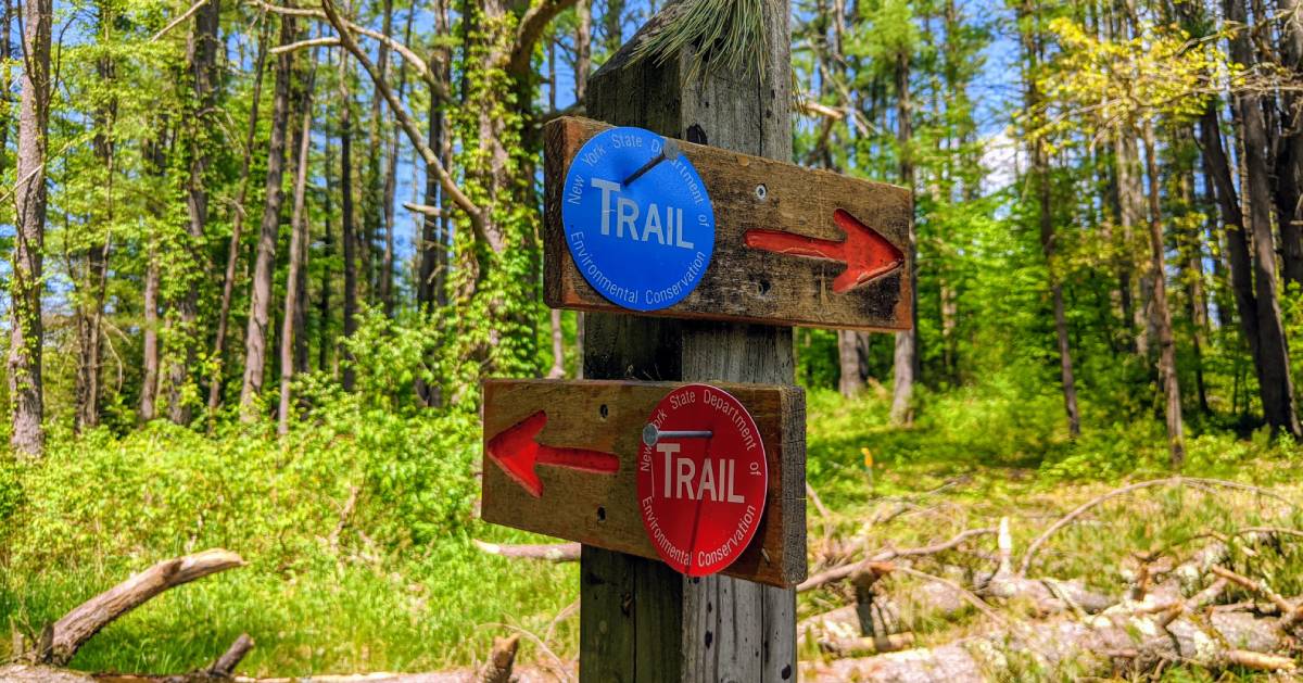 blue and red trail marker sign