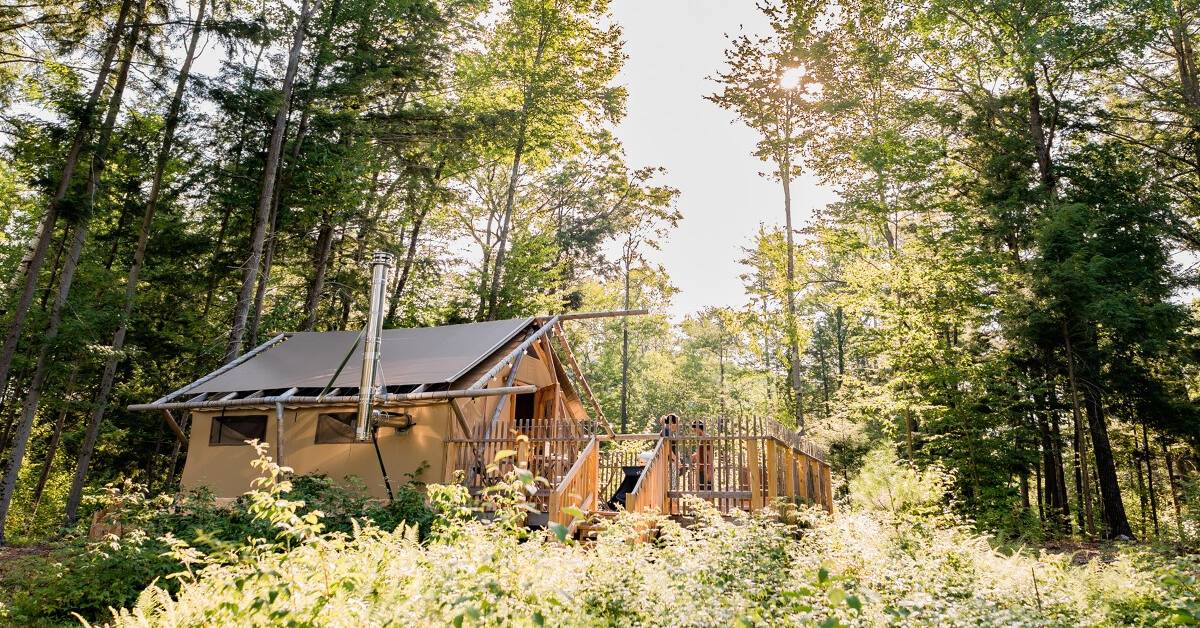 luxury cabin in the woods