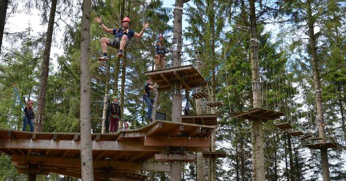 Swing in the tree tops for the best views