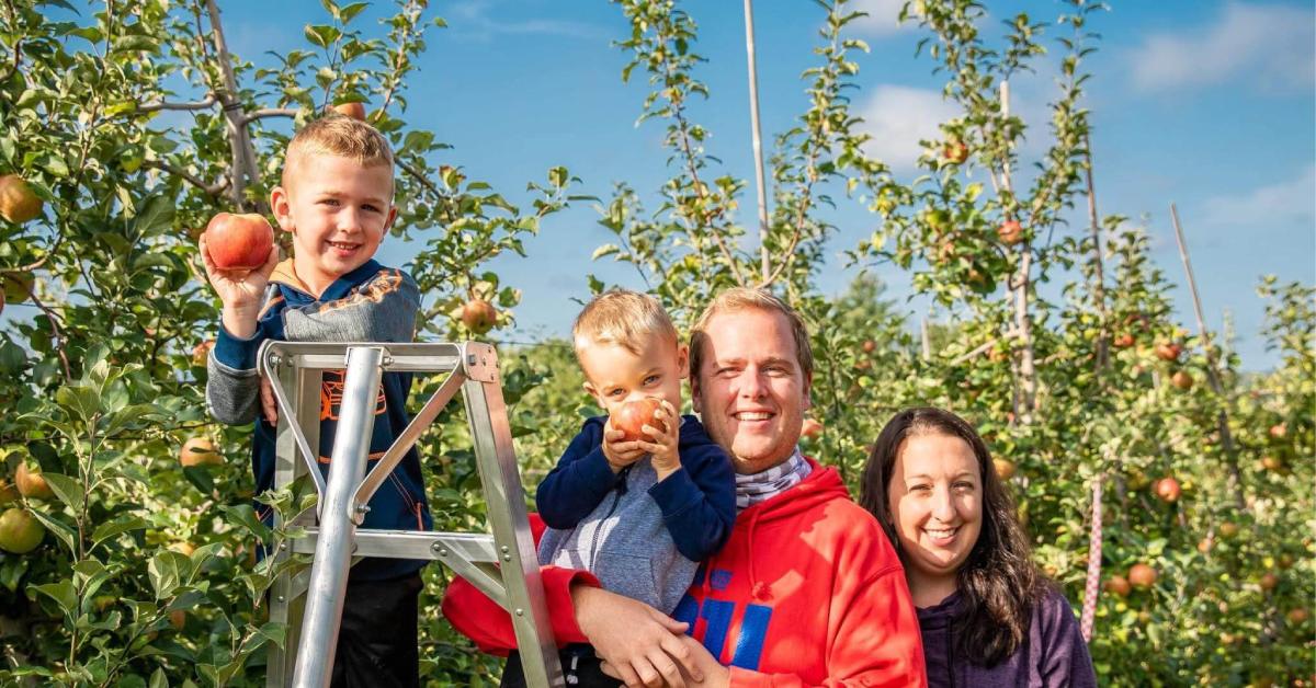 Family of four picking apples where the two boys are holding apples