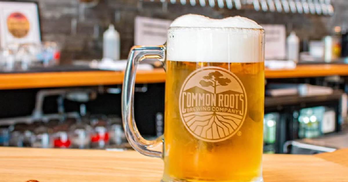 Image of a beer glass that highlights the logo of Common Roots
