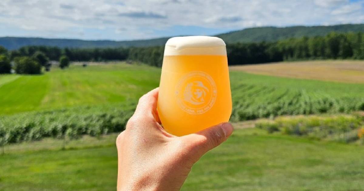 Hand holding beer 