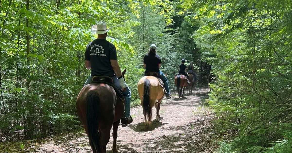 Four people on horses in a single file line down a trail