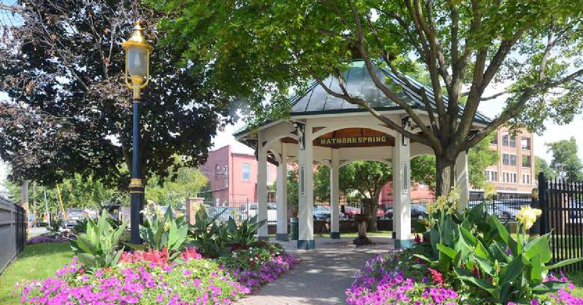 The Springs in Congress park