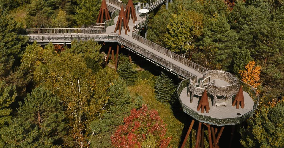 Arial view of the out door tree top views