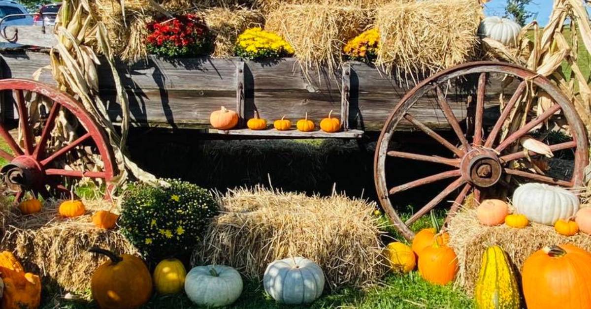 fall wagon with pumpkins