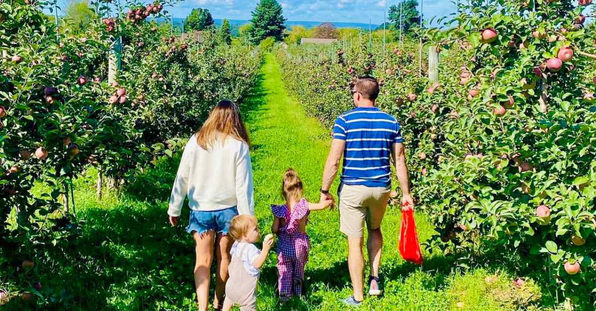 family in an apple orchard