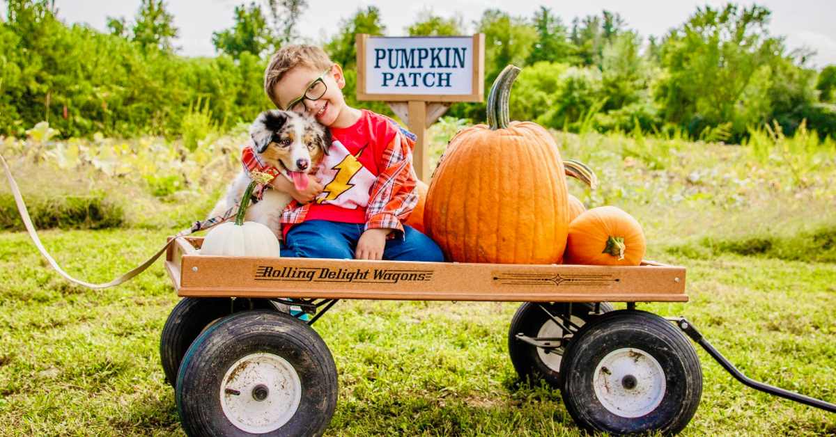 boy and dog on a wagon with a pumpkin
