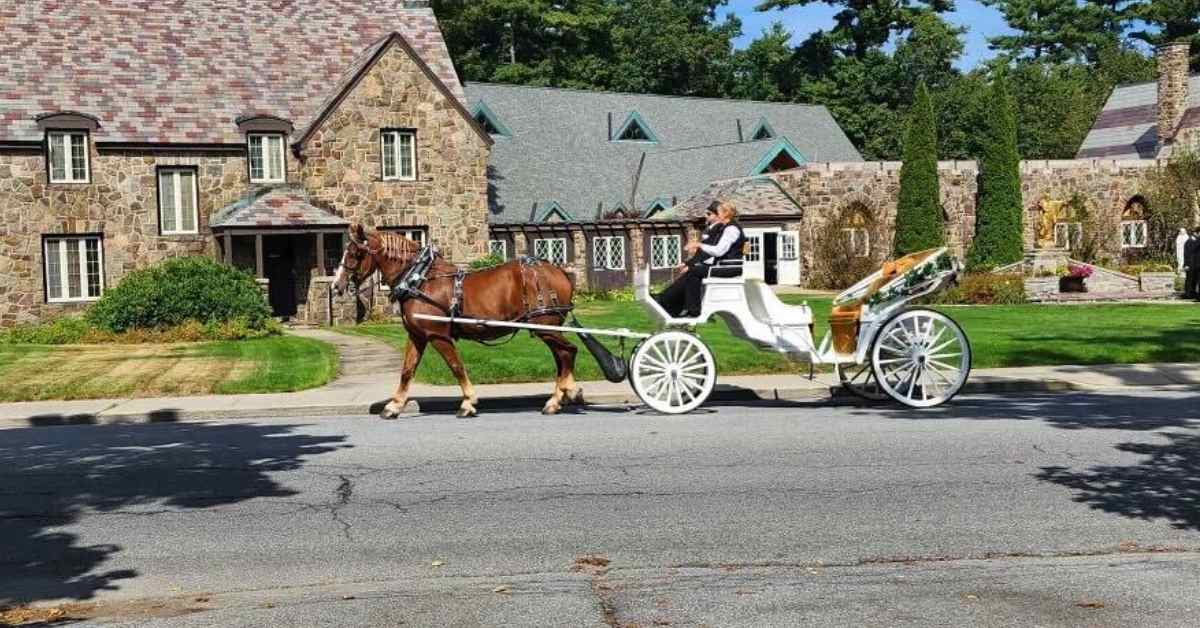 a white carriage pulled by a brown horse