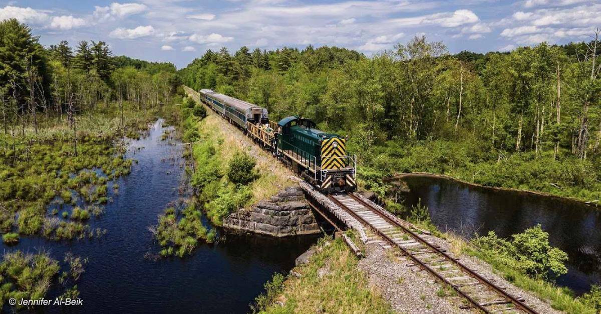 vintage train cars in wooded area