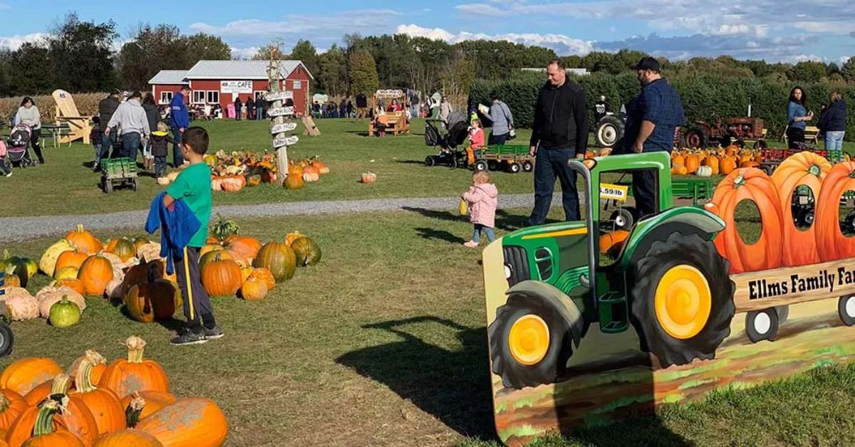 kids by pumpkins on a farm