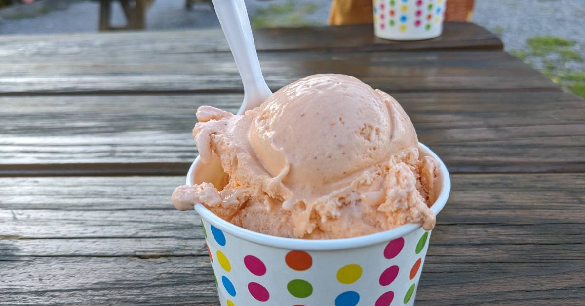 pumpkin ice cream