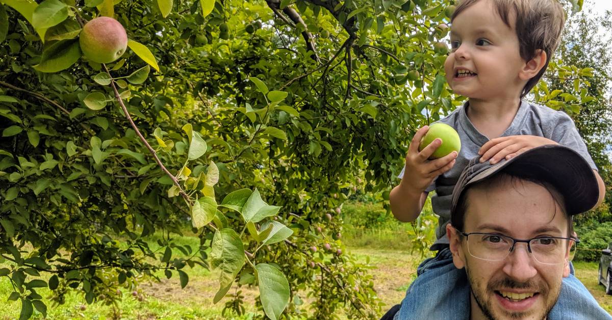 son with toddler on his shoulders apple picking