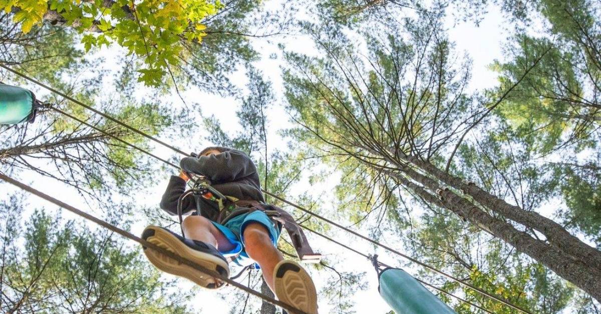 kid on treetop course in fall