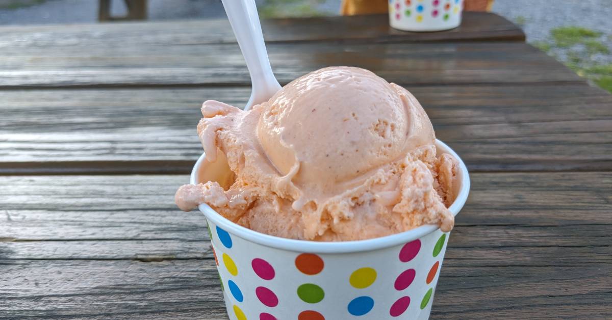 dish pumpkin ice cream