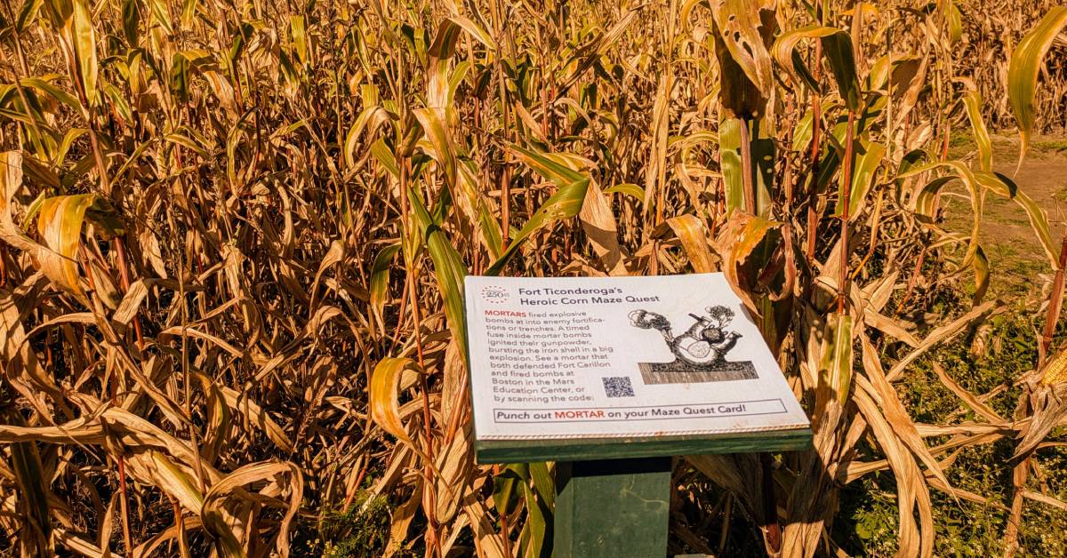 corn maze with sign