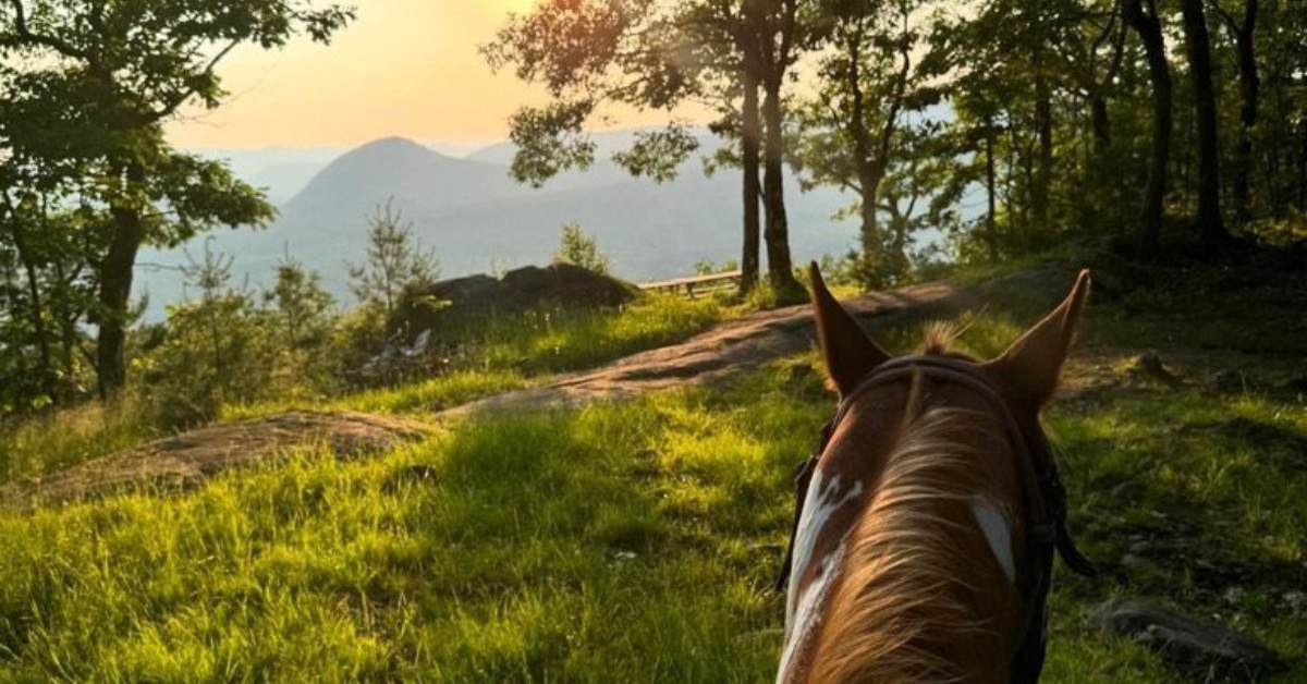horseback ride to summit
