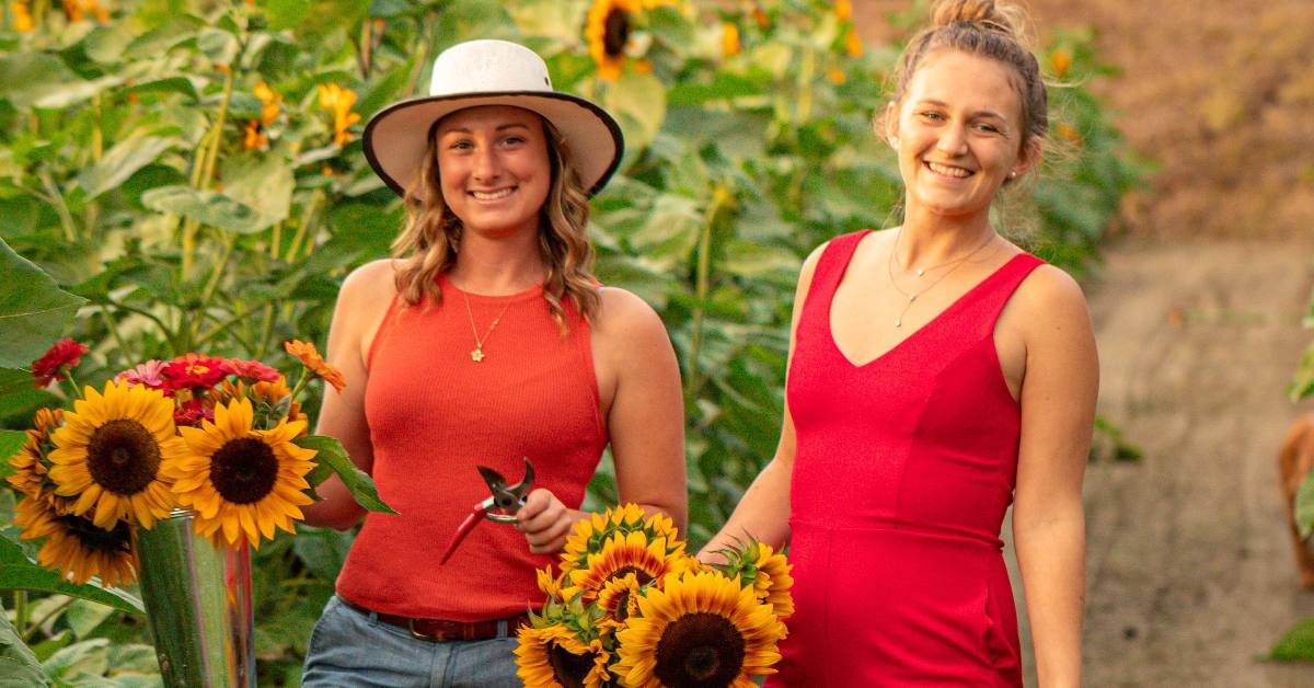 Two women enjoying sunflower picking 