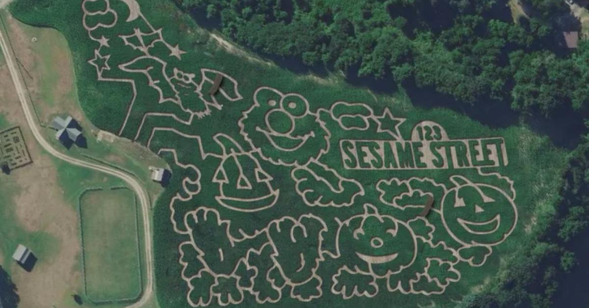 sesame street corn maze