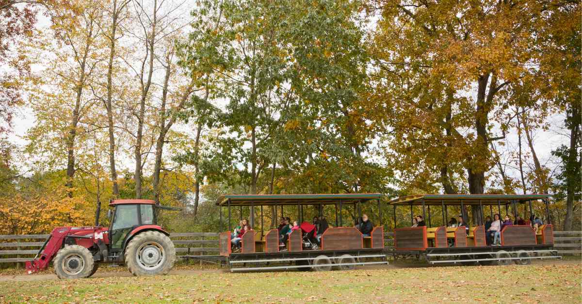 tractor and train ride on farm