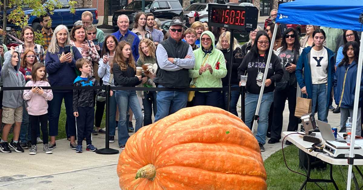Saratoga Giant PumpkinFest