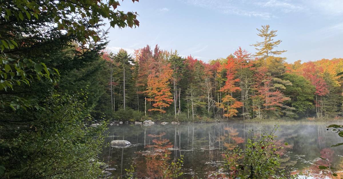 cranberry lake in the fall