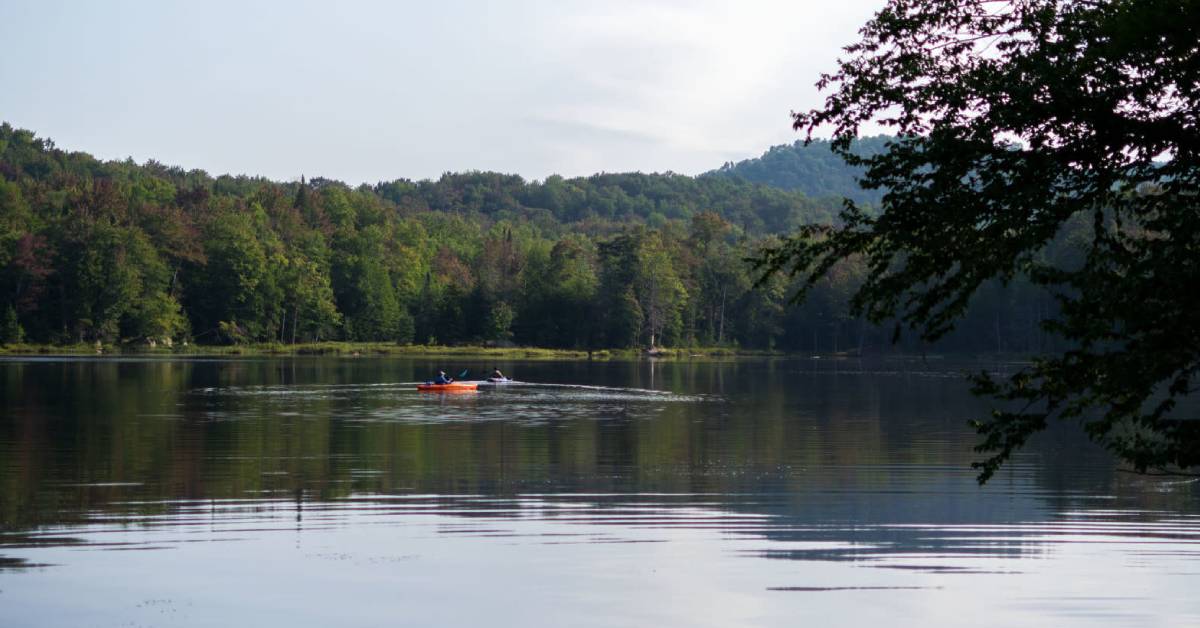 kayakers on lake serene
