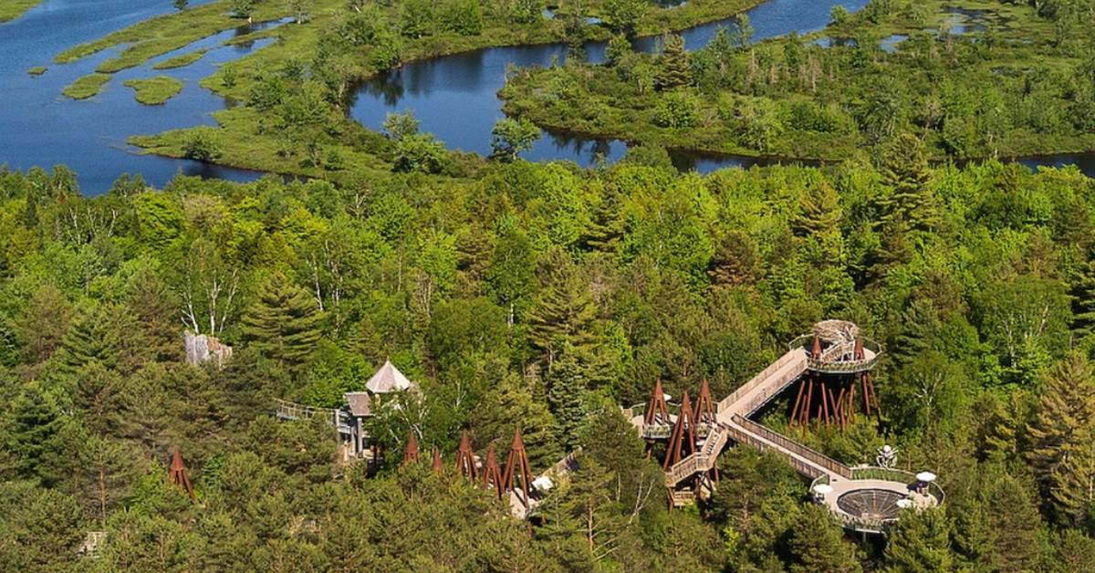 aerial view of the wild center