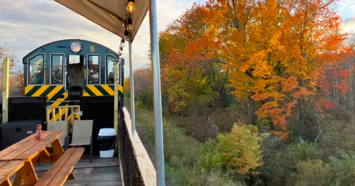 view of orange fall leaves from a train