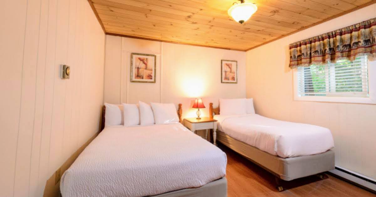two beds in bedroom