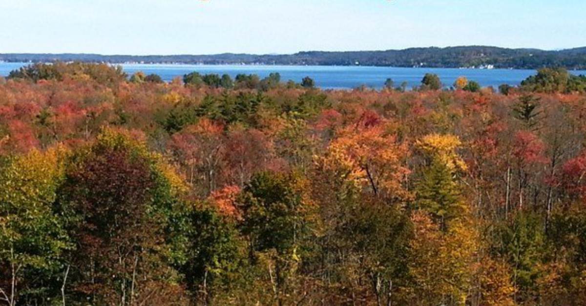 fall colors on trees with lake in the background