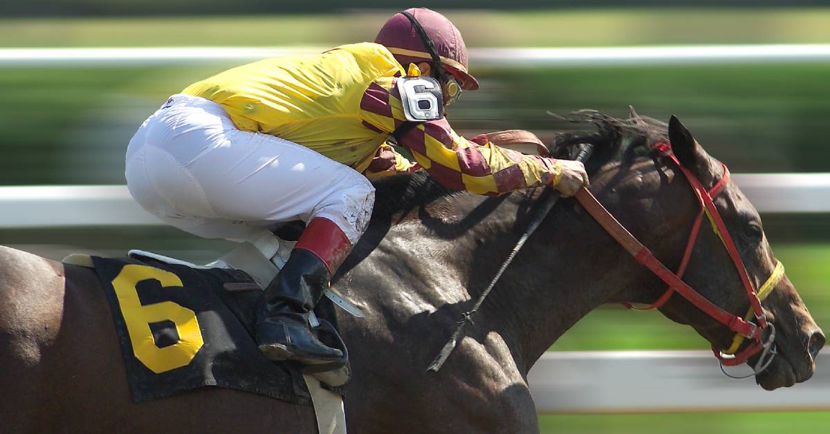 jockey on horse