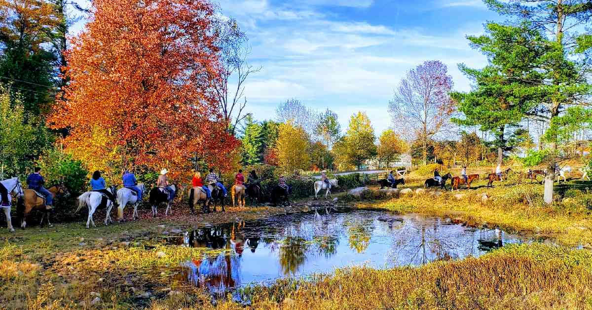 a row of horseback riders going past a pond with fall colors on the trees