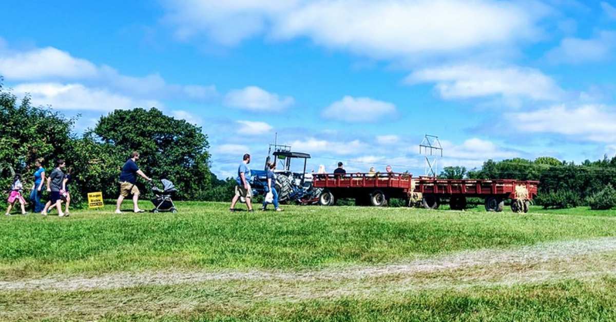 people at a farm festival event