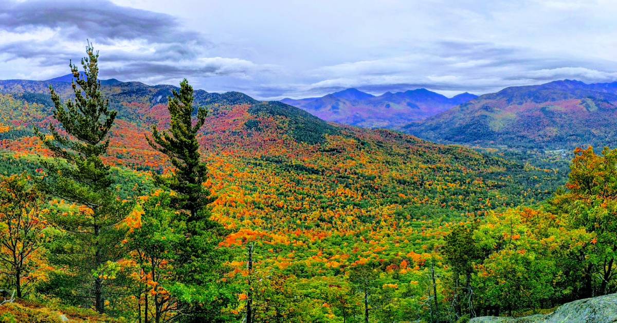 fall foliage summit