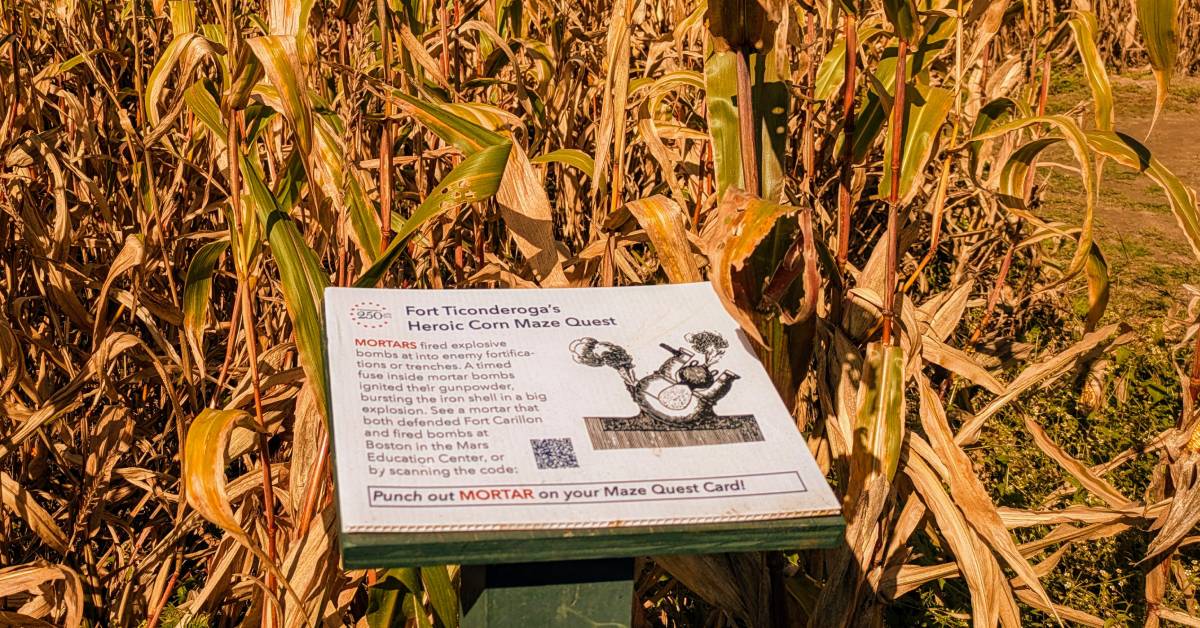 corn maze at fort ticonderoga