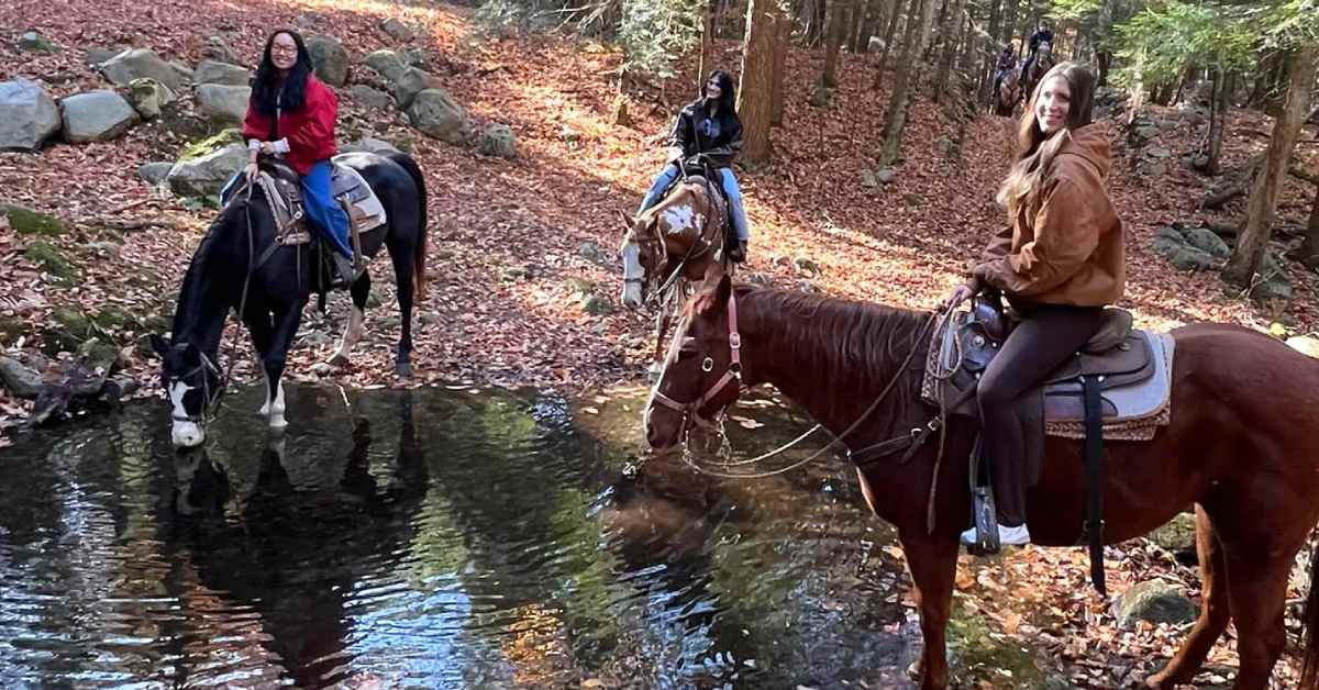three women horseback riding in woods