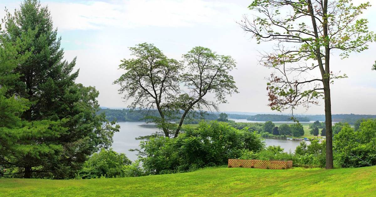 trees by lake