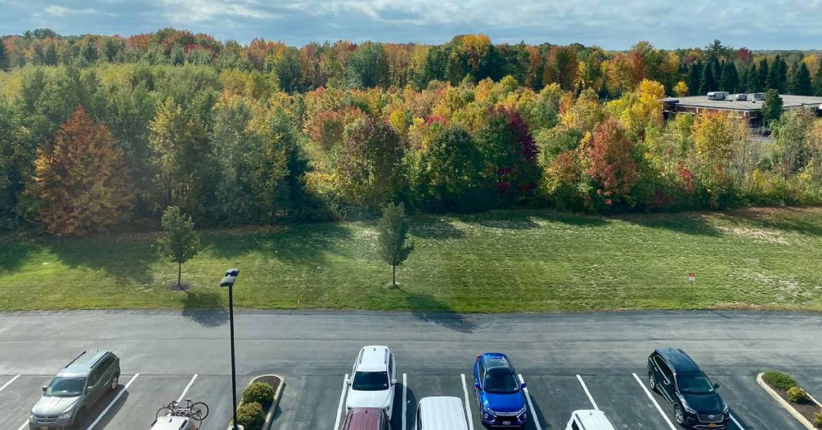 view of foliage and parking lot