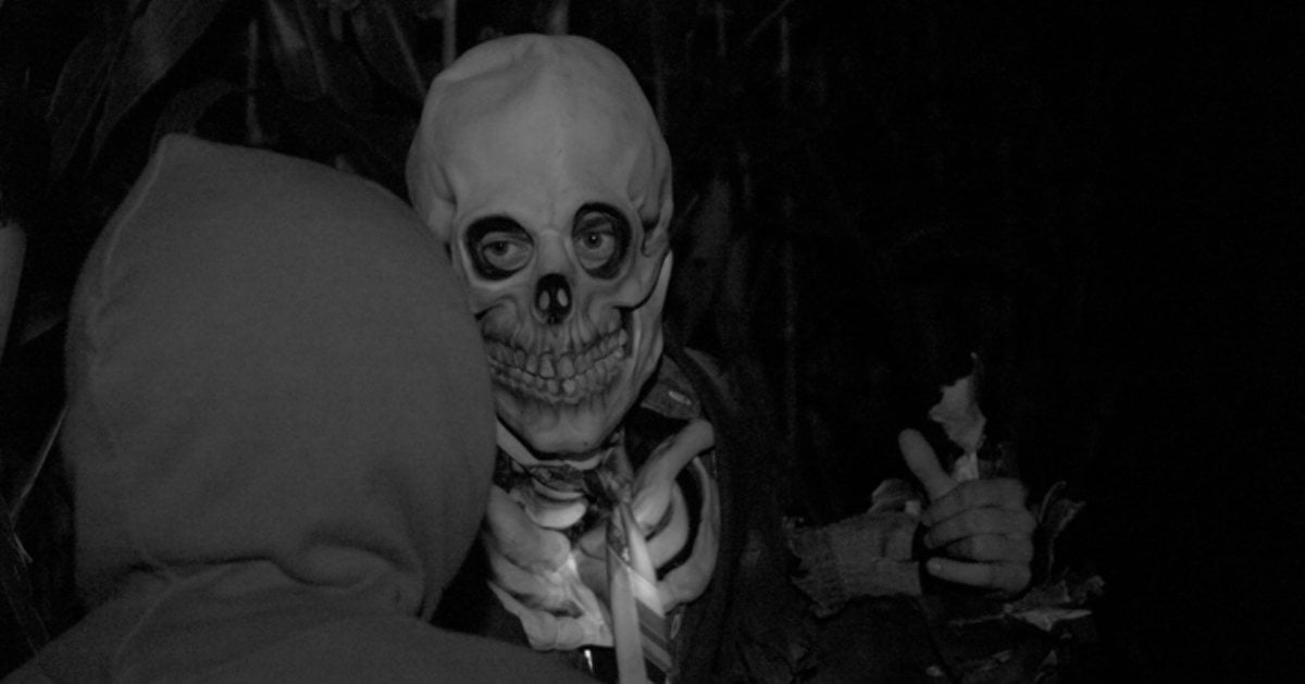 person in skeleton outfit in corn maze