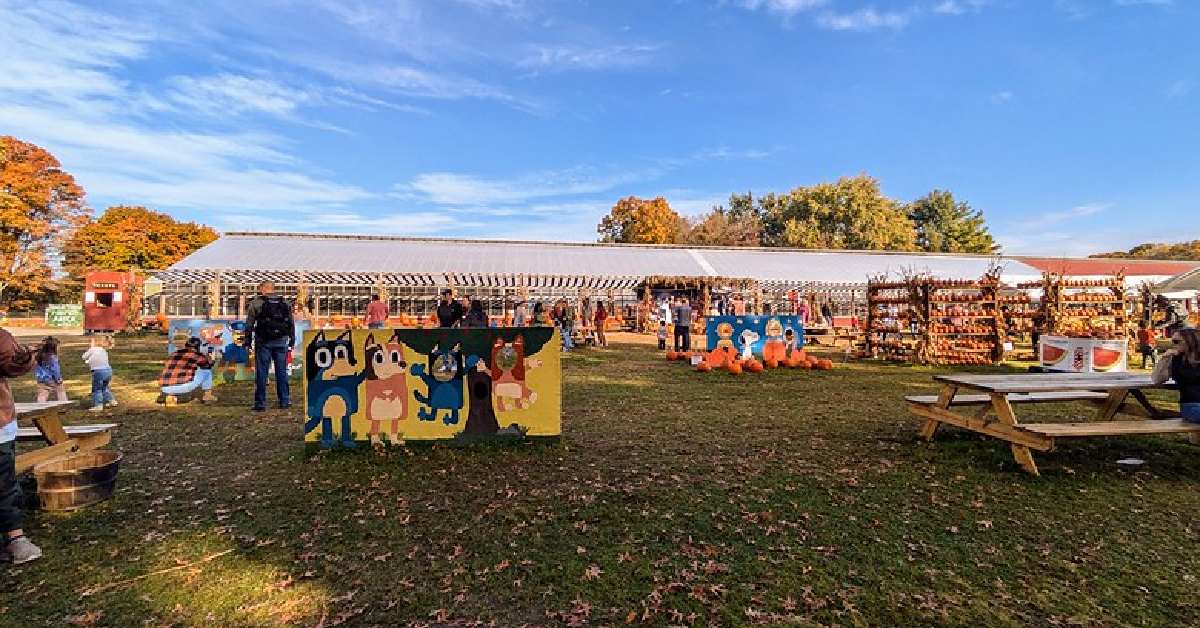 garden center with kids cardboard cutouts and pumpkins for fall festival