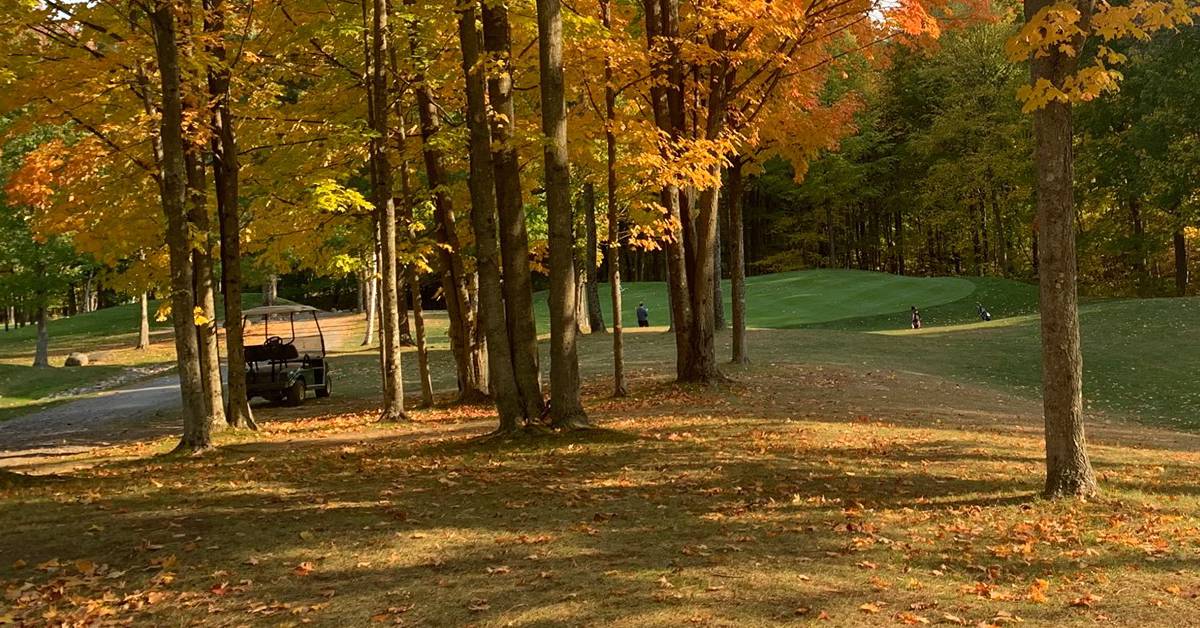 fall foliage on golf course
