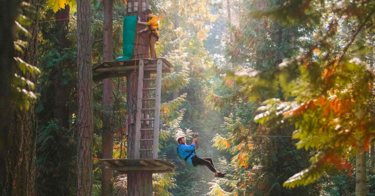 two people on aerial adventure course in the fall
