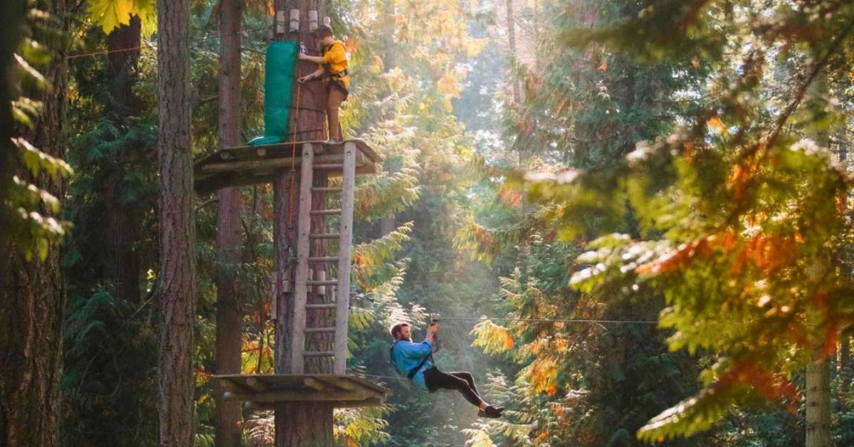 two people in an aerial adventure park