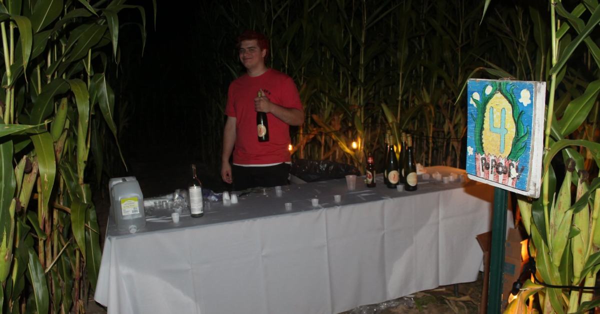 man at wine table in corn maze