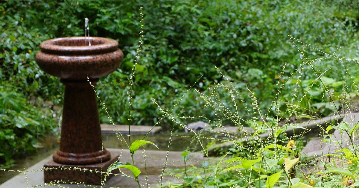 mineral spring in park