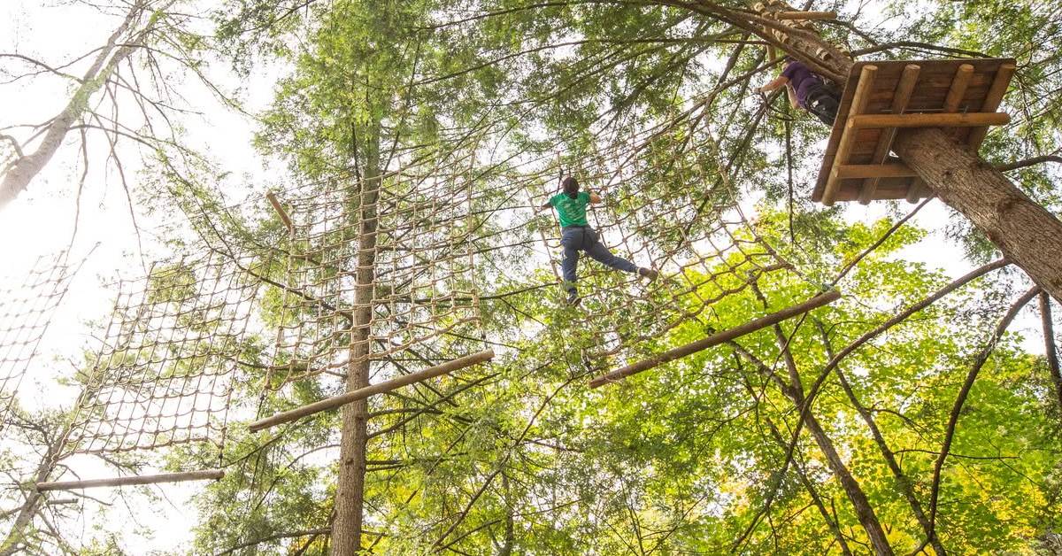 people on treetop adventure course