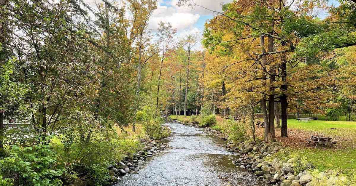 stream running through a park during fall with colorful trees
